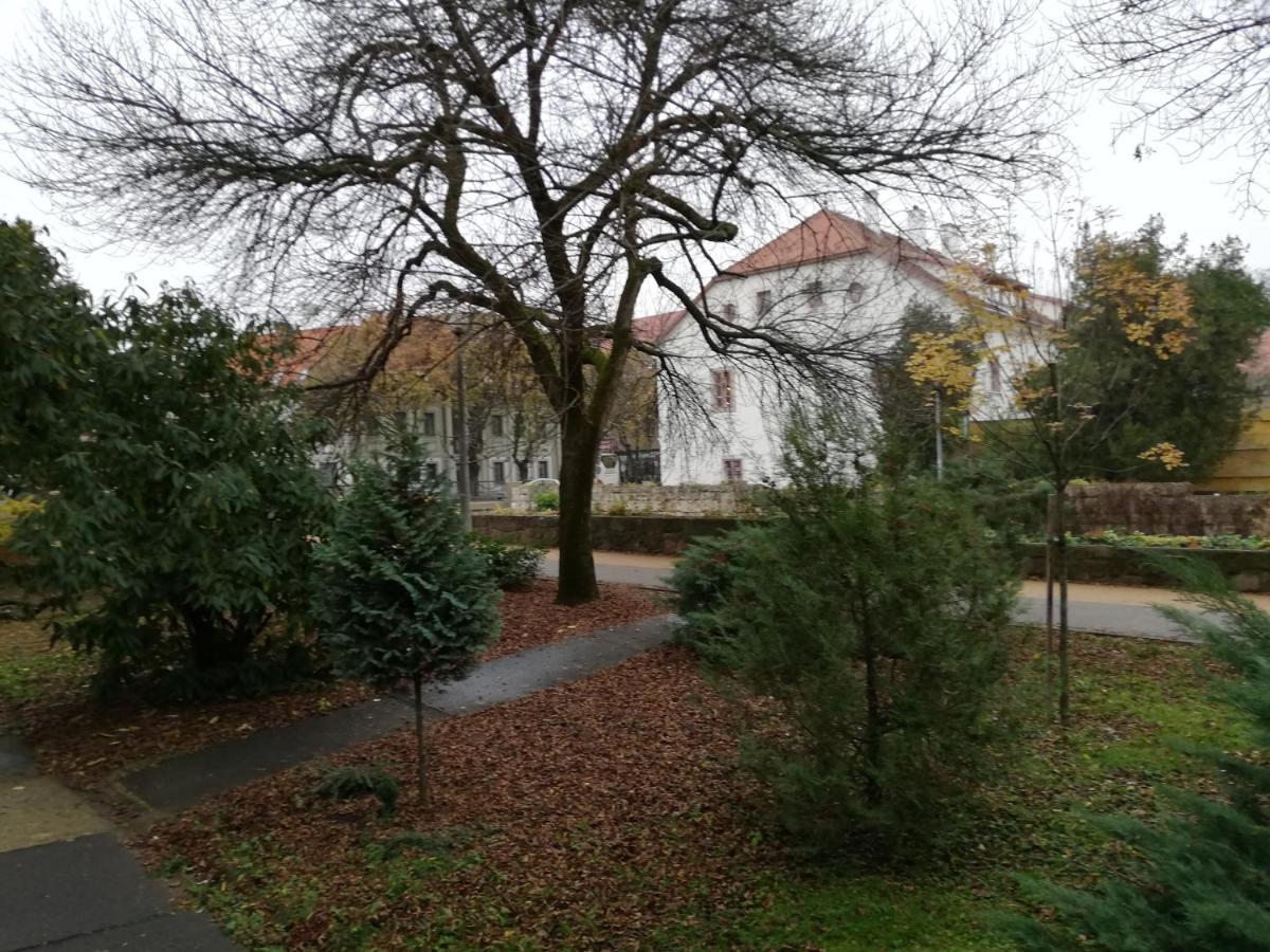 Tulip Family Apartments Eger Extérieur photo
